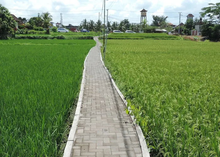 Nick's Hidden Hotel Ubud (Bali)